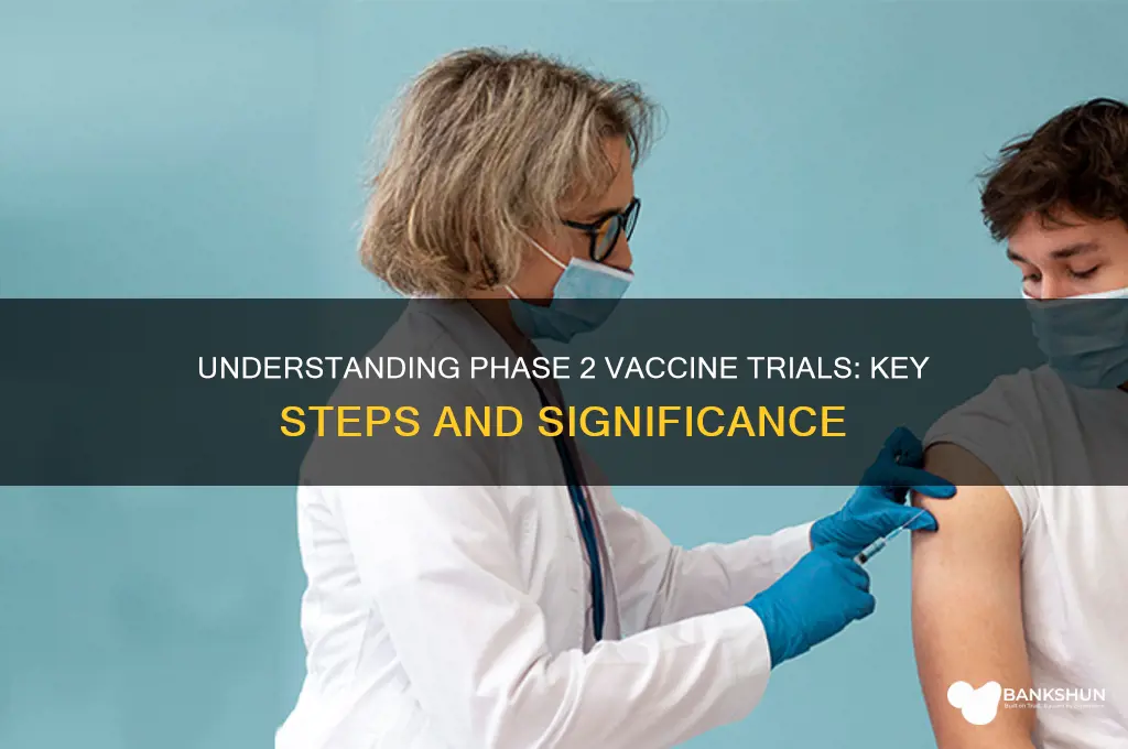 what is a phase 2 vaccine trial