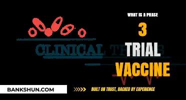 Understanding Phase 3 Vaccine Trials: Safety, Efficacy, and Approval Process