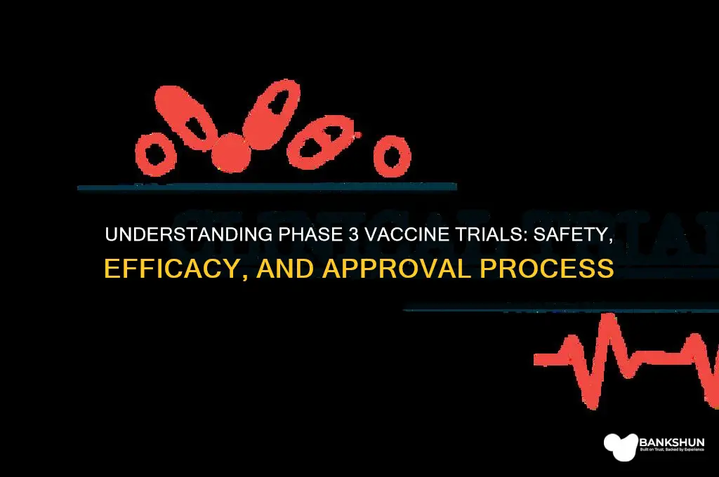 what is a phase 3 trial vaccine