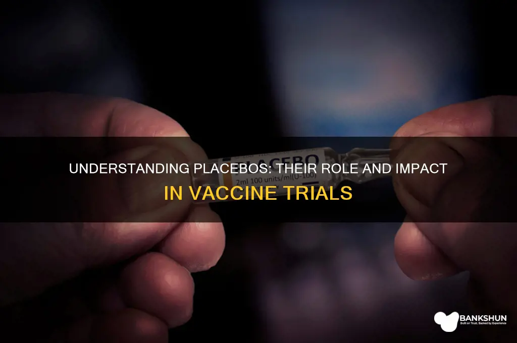 what is a placebo in vaccine trials