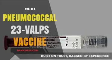 Understanding the Pneumococcal 23-Valent Vaccine: Benefits and Importance