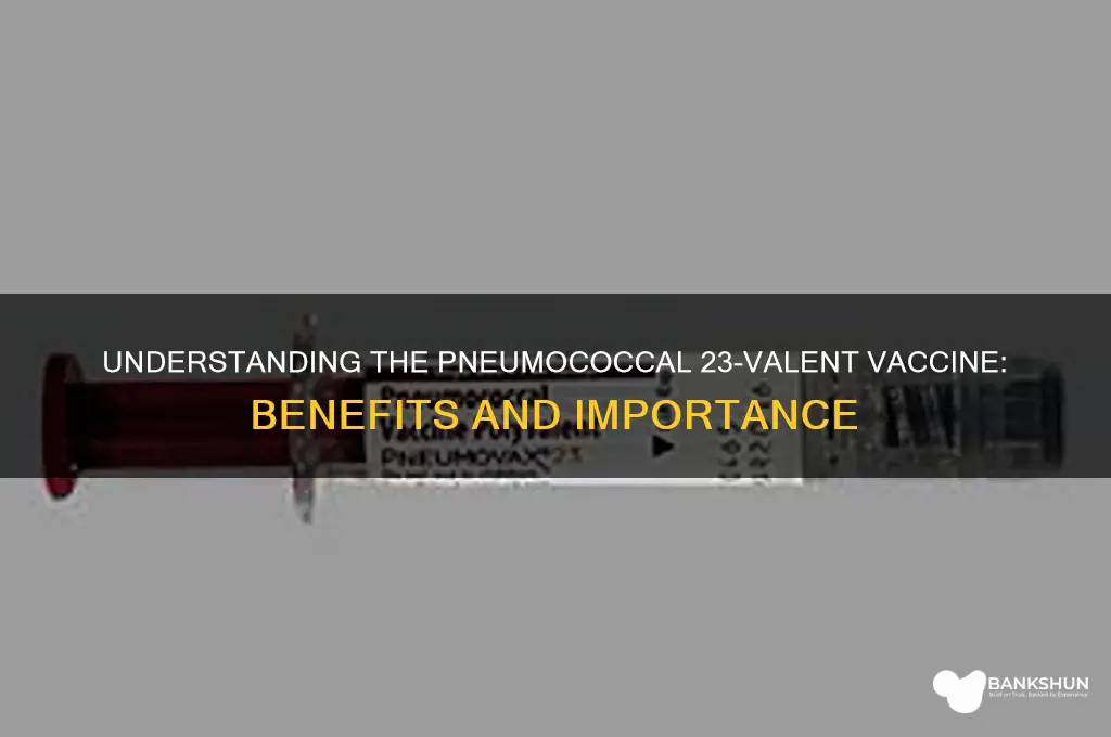 what is a pneumococcal 23-valps vaccine