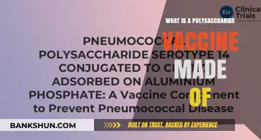 Understanding Polysaccharide Vaccines: Key Components and Their Role in Immunity