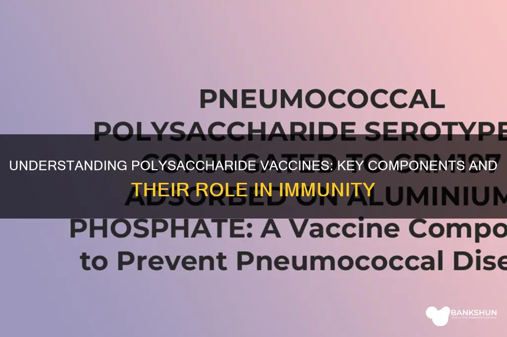 what is a polysaccharide vaccine made of