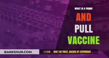 Understanding Prime and Pull Vaccines: A Comprehensive Guide to Their Role
