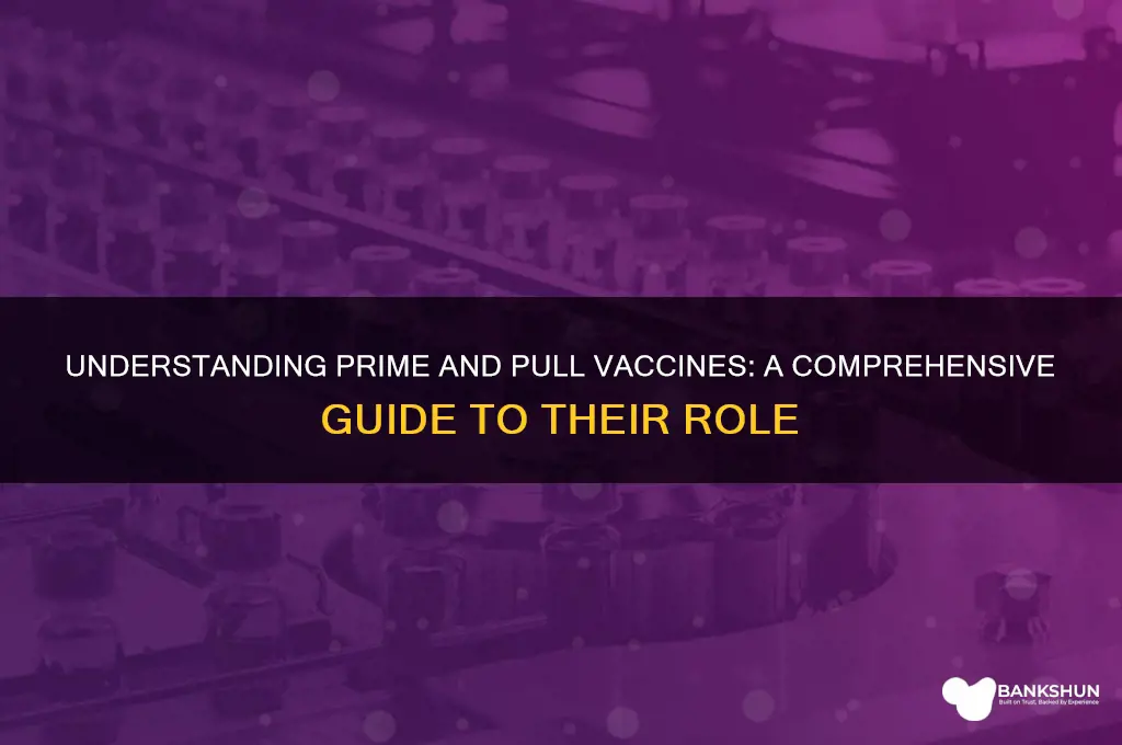 what is a prime and pull vaccine
