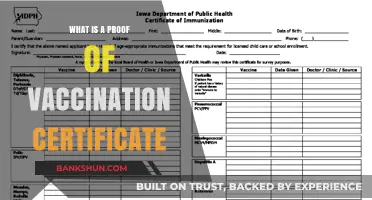 Understanding Proof of Vaccination Certificates: Purpose, Importance, and Usage
