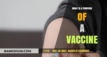 Understanding Vaccines: Their Purpose, Benefits, and Role in Public Health