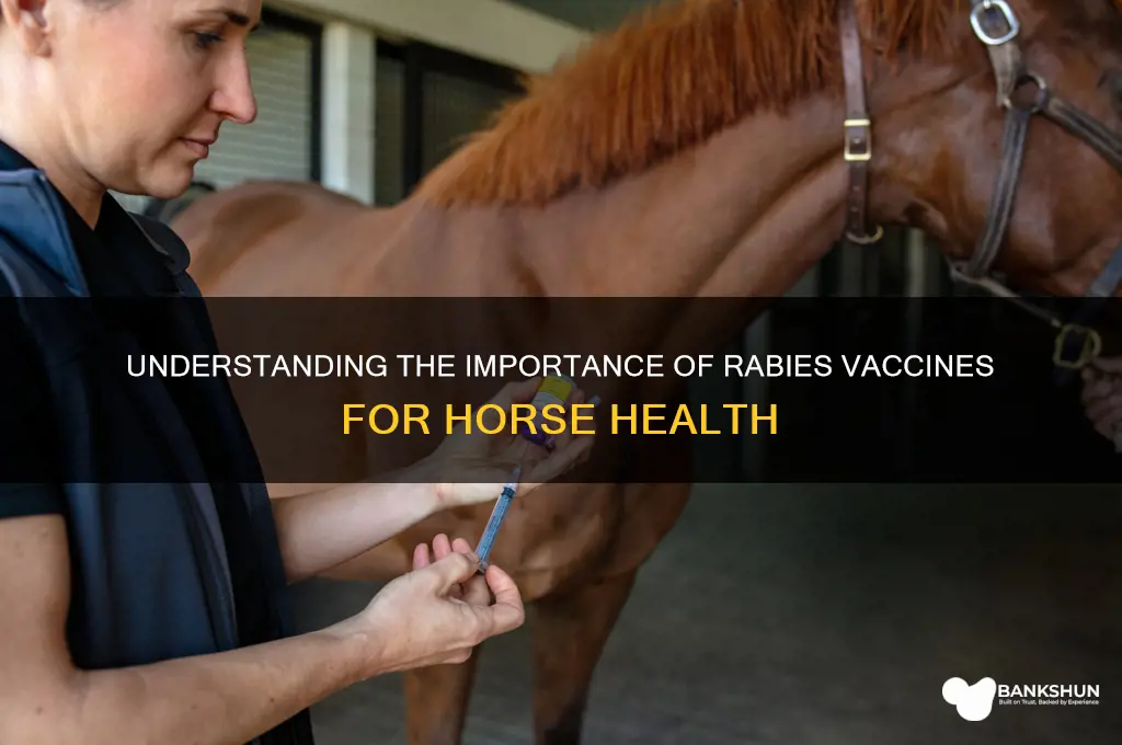 what is a rabies vaccine for horses