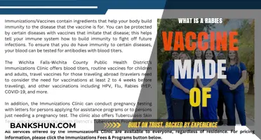 Understanding Rabies Vaccine Composition: Key Ingredients and Their Role