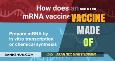 Understanding RNA Vaccines: Key Components and Their Revolutionary Science
