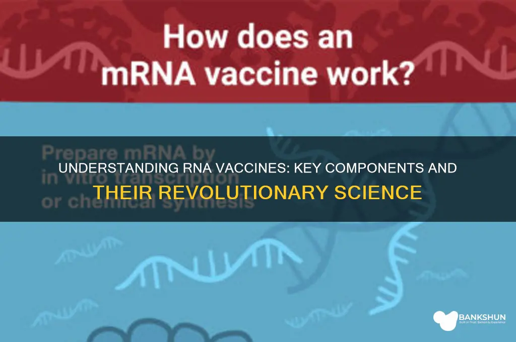 what is a rna vaccine made of