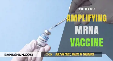 Understanding Self-Amplifying mRNA Vaccines: A Revolutionary Immunization Approach