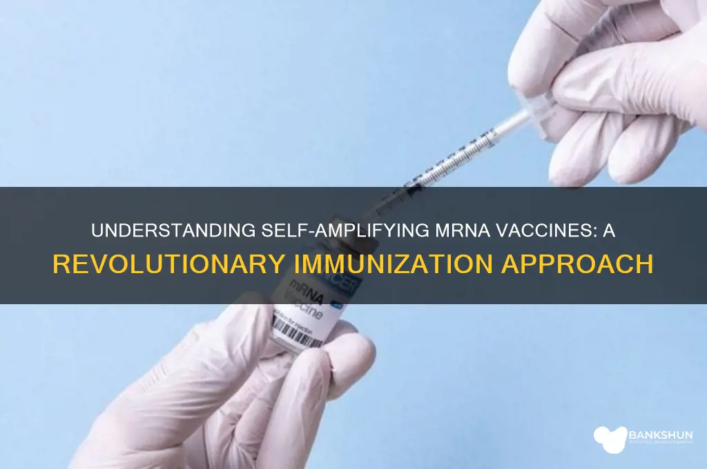 what is a self amplifying mrna vaccine