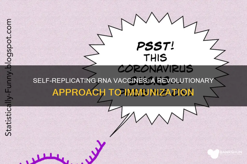 what is a self replicating rna vaccine