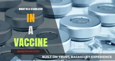 Understanding Stabilizers: Essential Components in Vaccine Formulation and Preservation