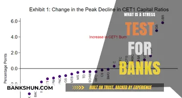 Stress Testing: Banks' Resilience Assessment