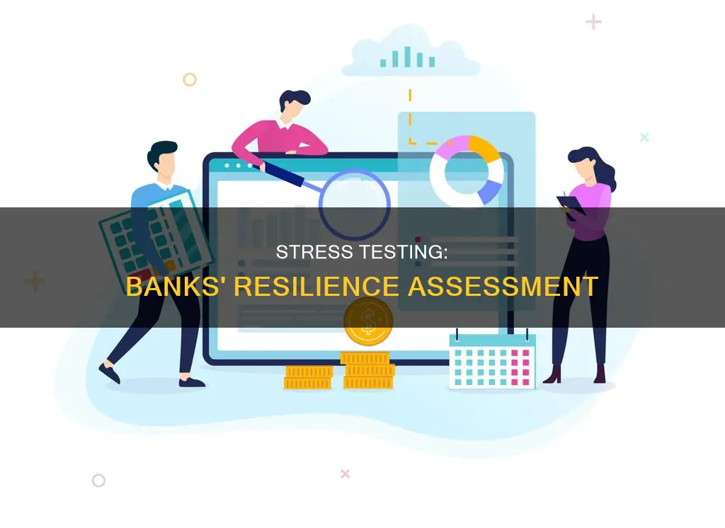 what is a stress test for banks
