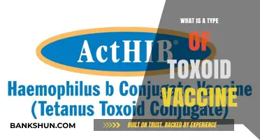Understanding Toxoid Vaccines: A Comprehensive Guide to Their Function and Use