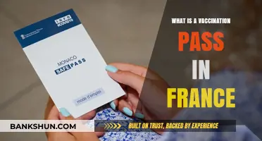Understanding France's Vaccination Pass: Requirements, Usage, and Importance