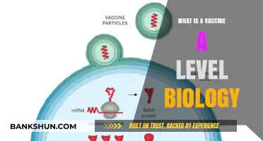 Understanding Vaccines: A Level Biology Explained Simply and Effectively