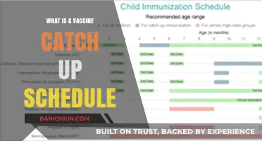 Understanding Vaccine Catch-Up Schedules: A Guide to Staying Protected