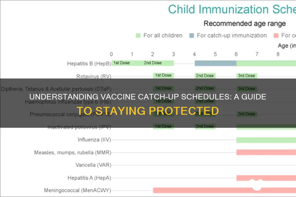 what is a vaccine catch up schedule