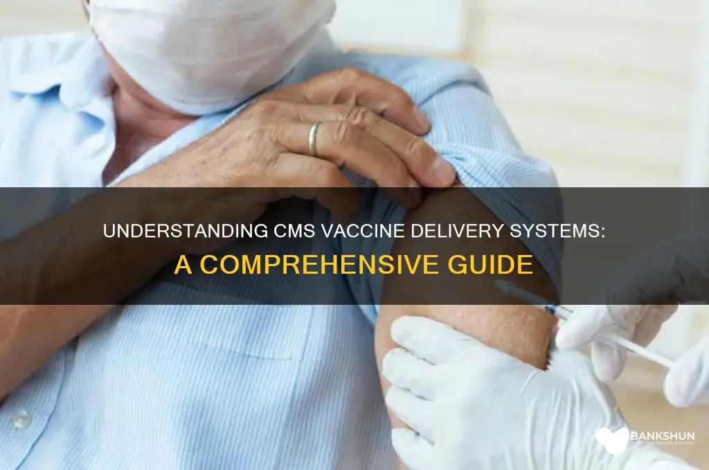 what is a vaccine delivery system cms