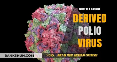 Understanding Vaccine-Derived Polio Viruses: Causes, Risks, and Prevention