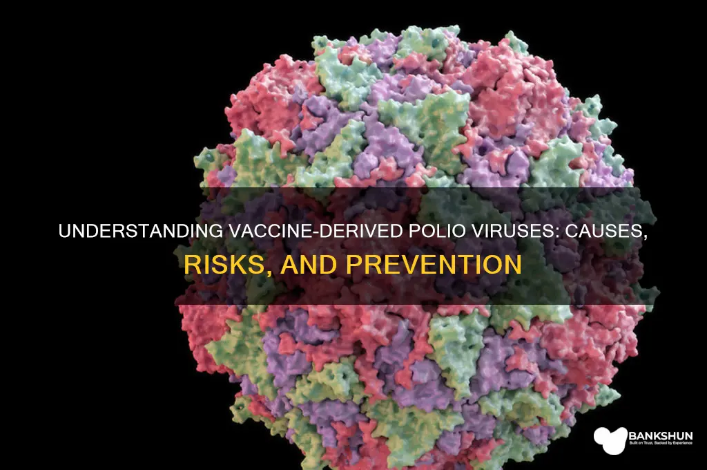 what is a vaccine derived polio virus