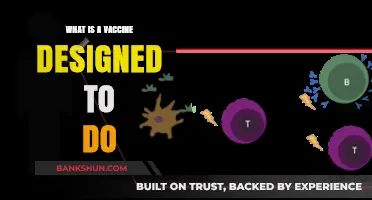 Understanding Vaccines: How They Train Your Immune System to Fight Diseases
