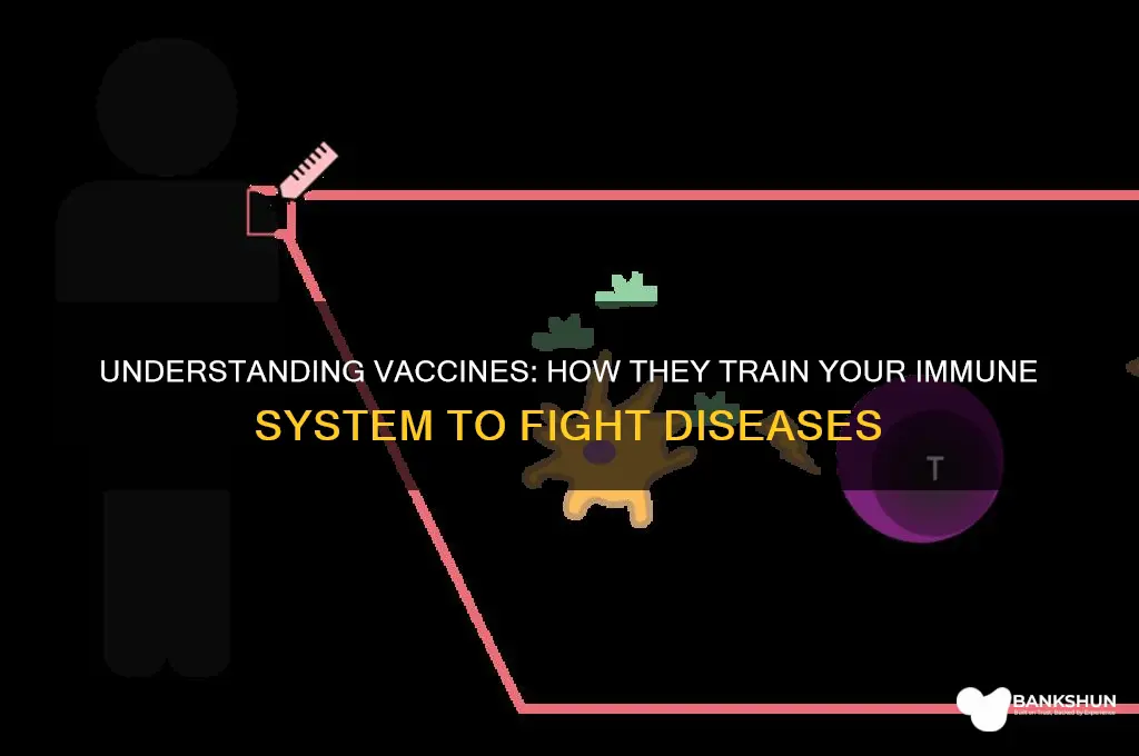 what is a vaccine designed to do