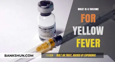 Understanding Yellow Fever: The Role and Importance of Vaccination