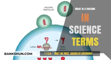 Understanding Vaccines: A Scientific Explanation of Their Function and Purpose