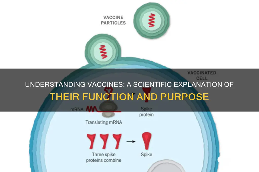 what is a vaccine in science terms