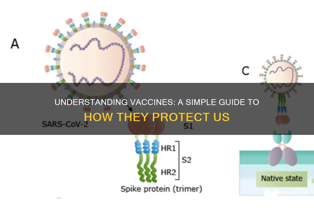 what is a vaccine in simple terms