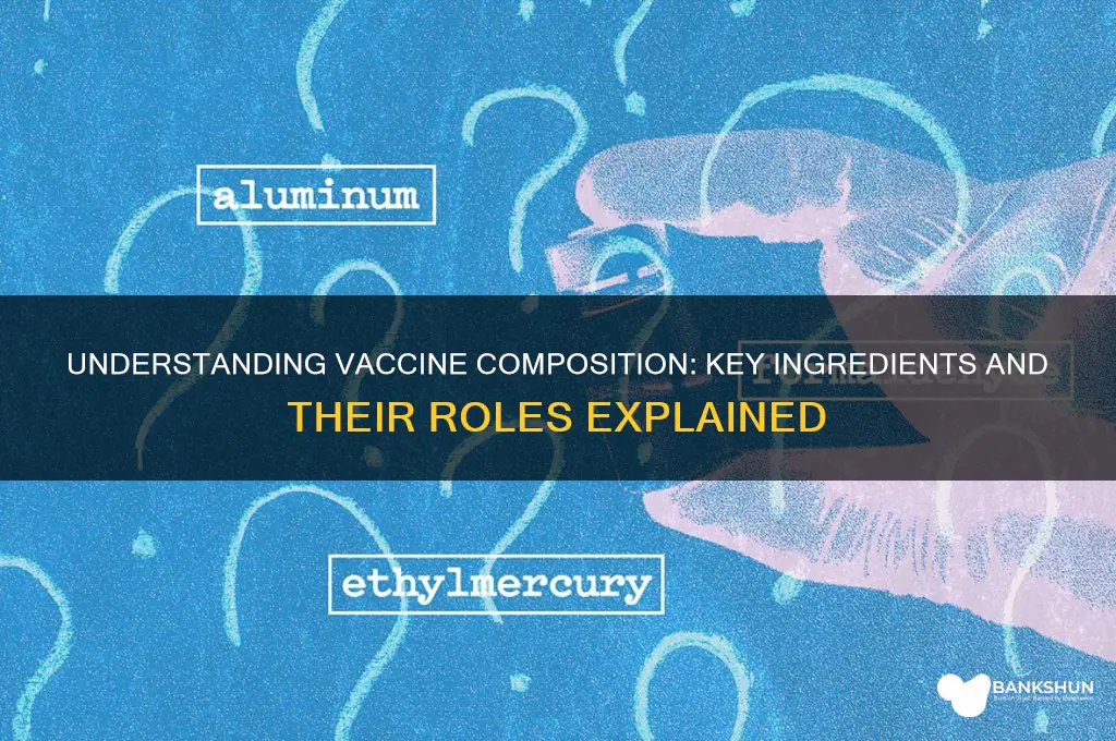 what is a vaccine made out of