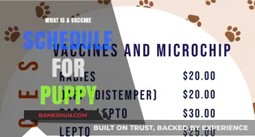 Essential Puppy Vaccine Schedule: A Complete Guide for New Pet Owners