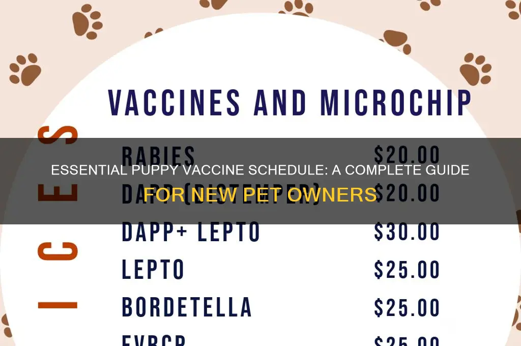 what is a vaccine schedule for puppy