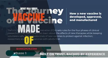 Understanding Virus Vaccines: Key Components and Their Functions Explained