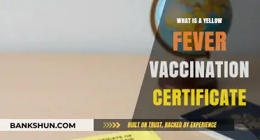 Understanding the Yellow Fever Vaccination Certificate: Essential Travel Document