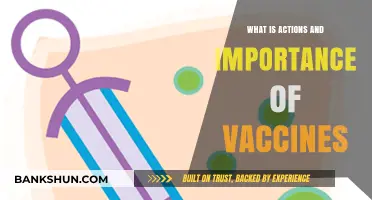 Understanding Vaccines: Their Vital Role in Preventing Diseases and Saving Lives