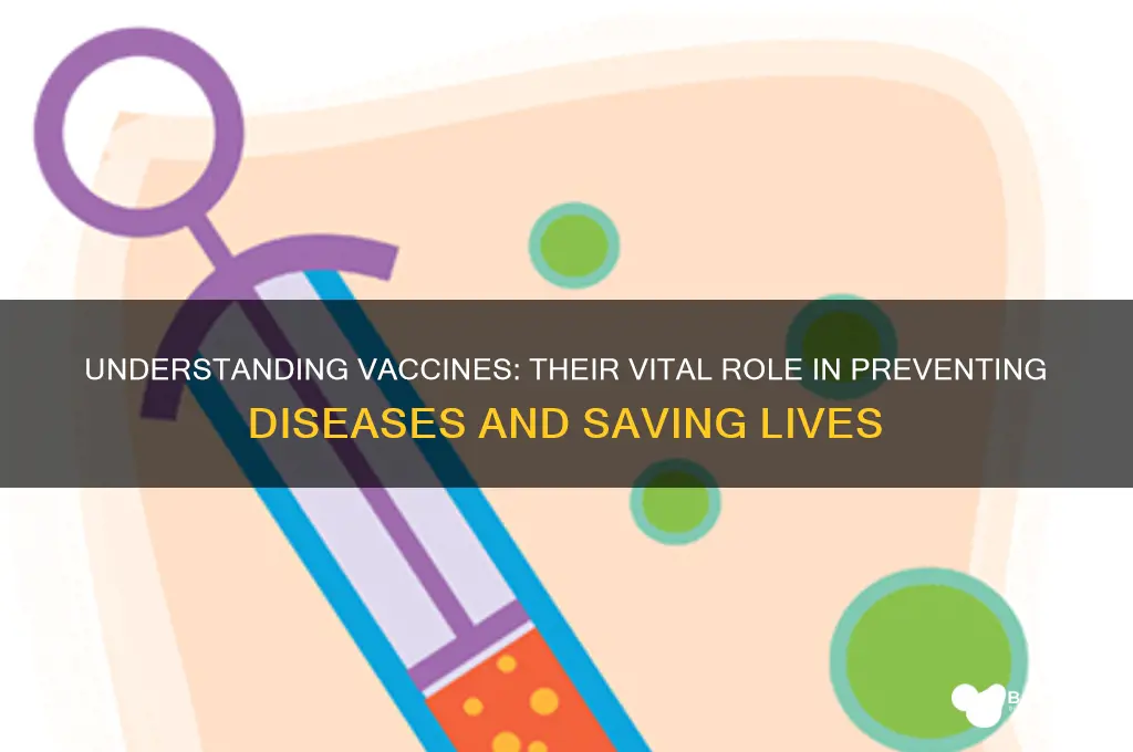 what is actions and importance of vaccines