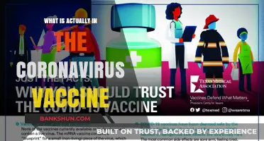 Unveiling the Science: What’s Inside the Coronavirus Vaccine?