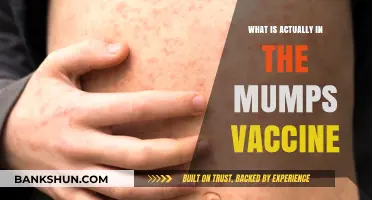 Unveiling the Mumps Vaccine: Ingredients, Safety, and Effectiveness Explained