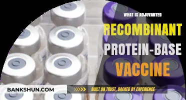 Understanding Adjuvanted Recombinant Protein-Based Vaccines: A Comprehensive Guide