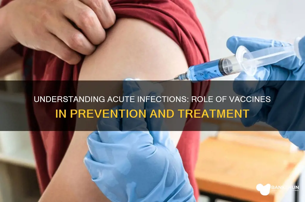 what is an acute infection and vaccines