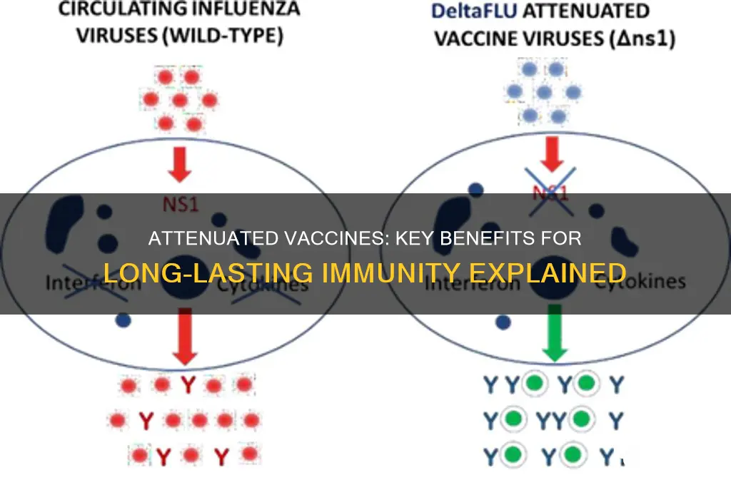 what is an advantage of attenuated vaccine