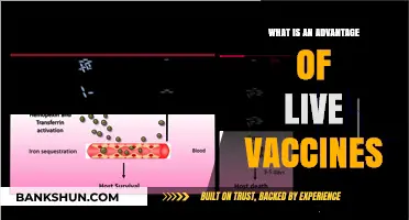 Live Vaccines: Boosting Immunity Through Active, Long-Lasting Protection