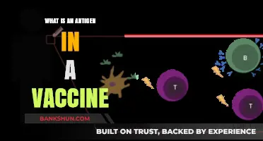Understanding Antigens: Key Components in Vaccine Functionality Explained